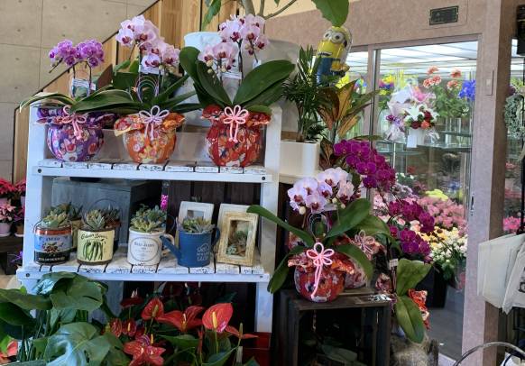 「おおくぼ生花店」　（佐賀県三養基郡みやき町）の花屋店舗写真4